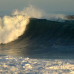 The Wedge August 27, 2014