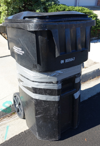 San Diego residential trash cans